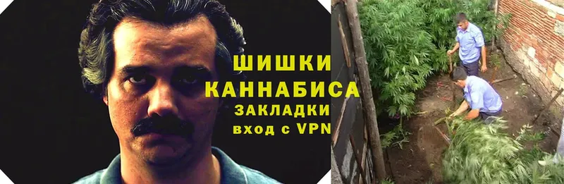 Бошки Шишки Bruce Banner  Лениногорск 